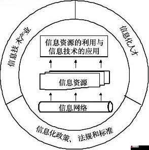 三大职业领域深度剖析，教育、医疗与信息技术行业的对比分析